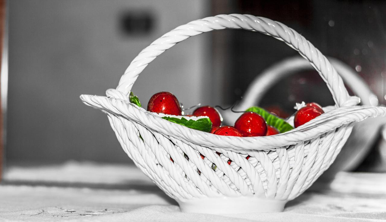 Bed & Breakfast Garrupa Marcellinara 部屋 写真